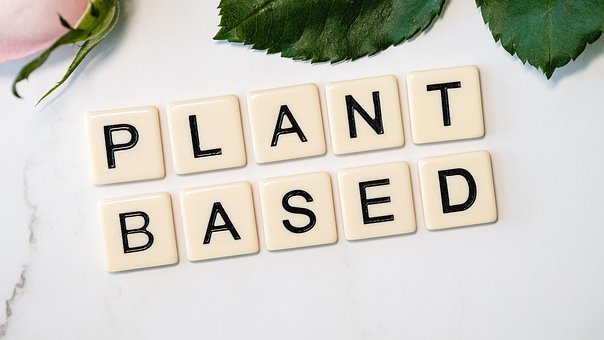 plantebaseret kost